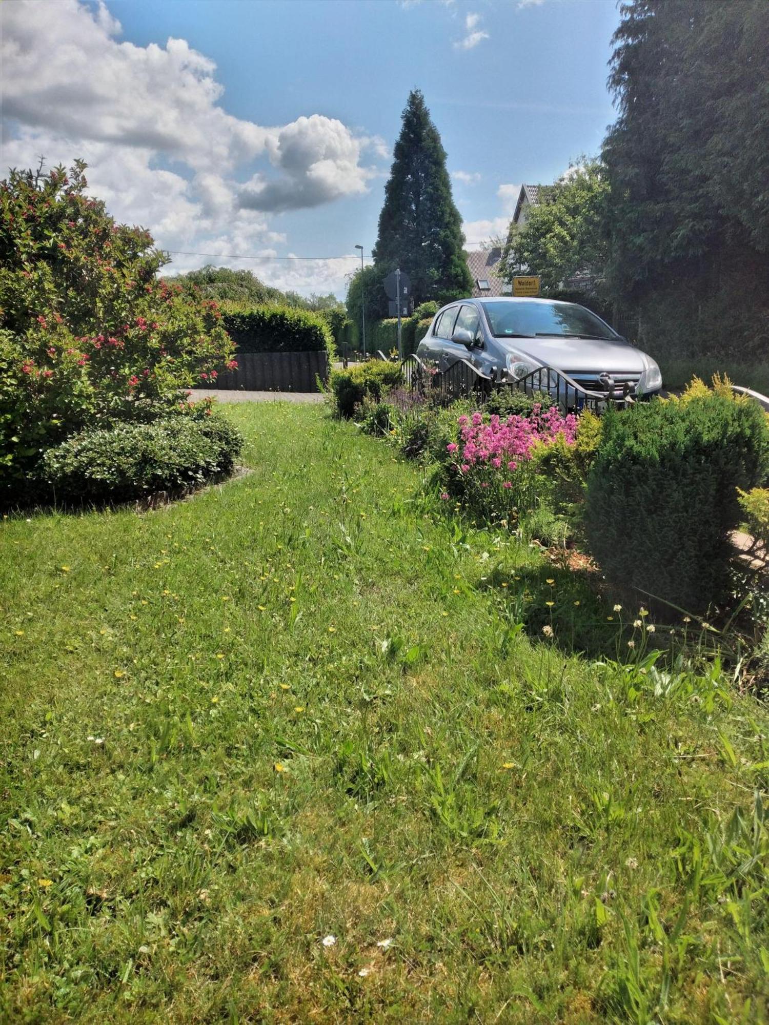 Ferienwohnung- Freuen Blankenheim  Exterior foto
